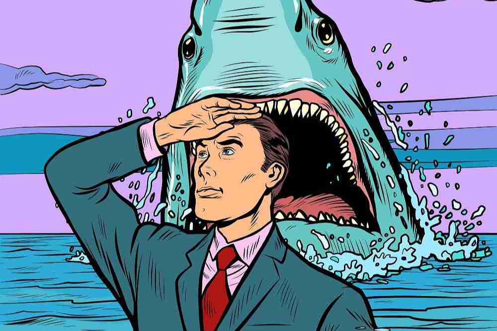 How To Avoid Shark Attacks