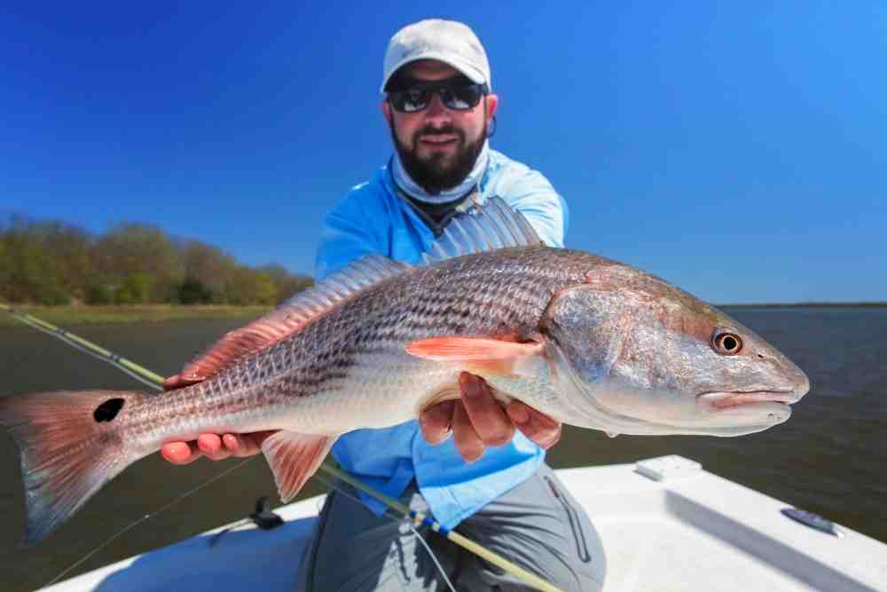 Surprising Facts About Redfish